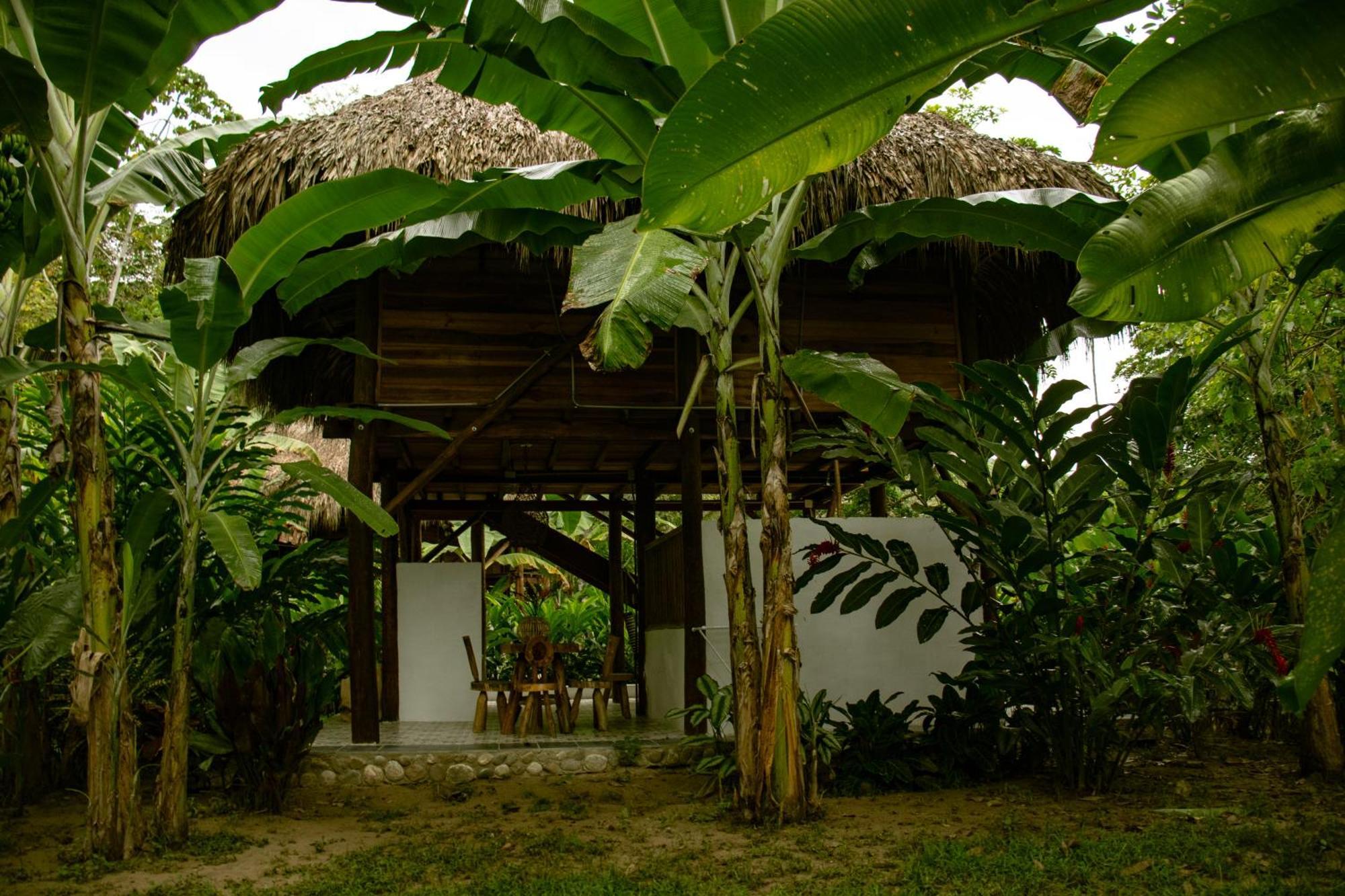 Salvia Madre Hotel Guachaca Exterior photo